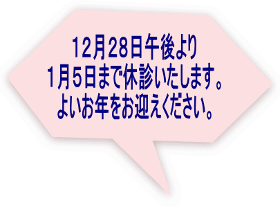 １２月２８日午後より １月５日まで休診いたします。 よいお年をお迎えください。